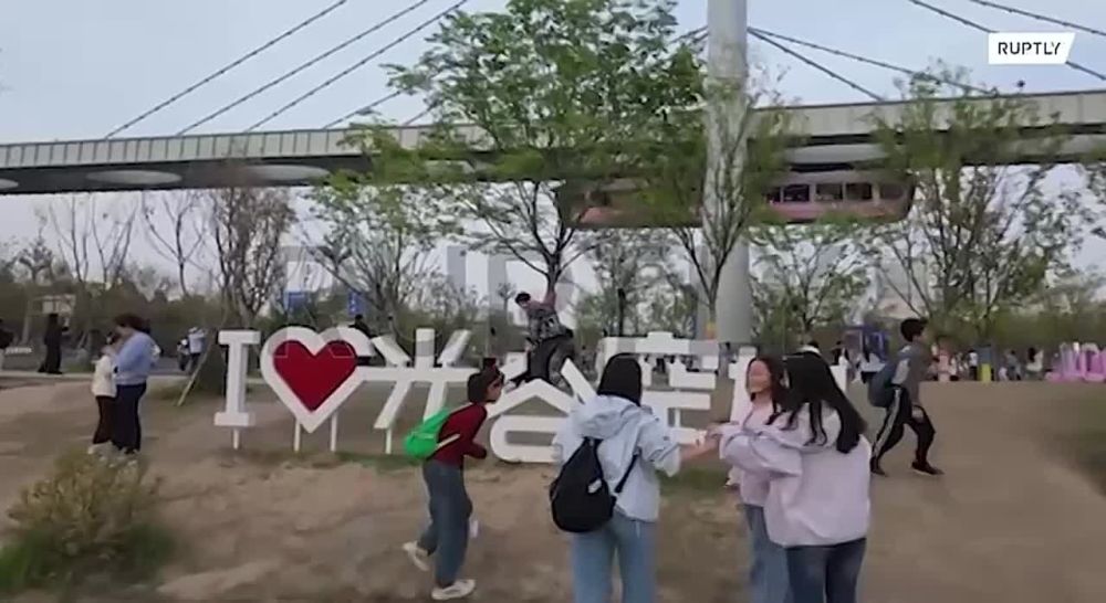 «Поезд с альпаками»: местные жители и туристы прокатились по необычной монорельсовой дороге в Китае