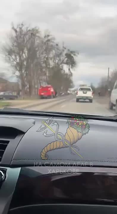 #���_�����. ������ ���������� ����������� ���