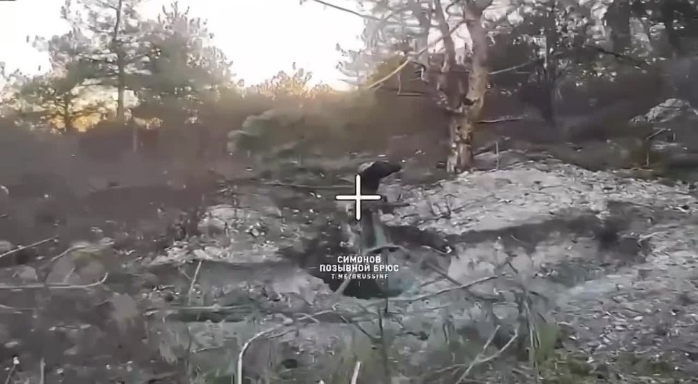  :      