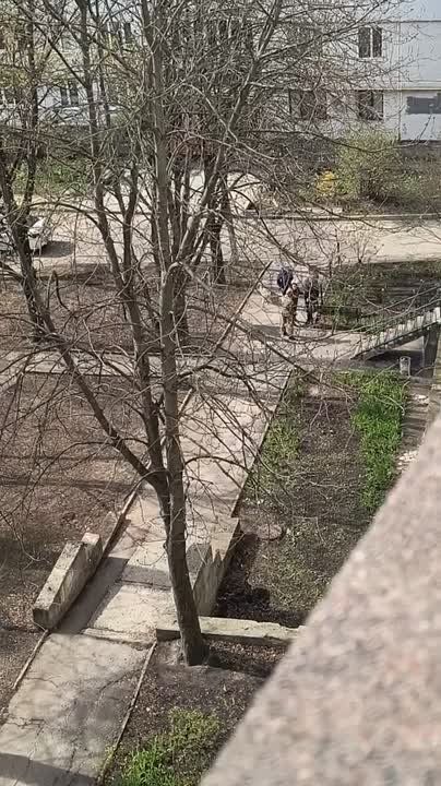  :               