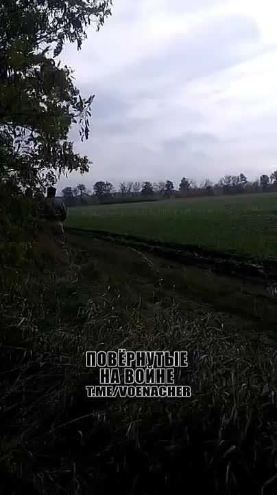   . -80