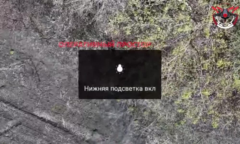  : 6        