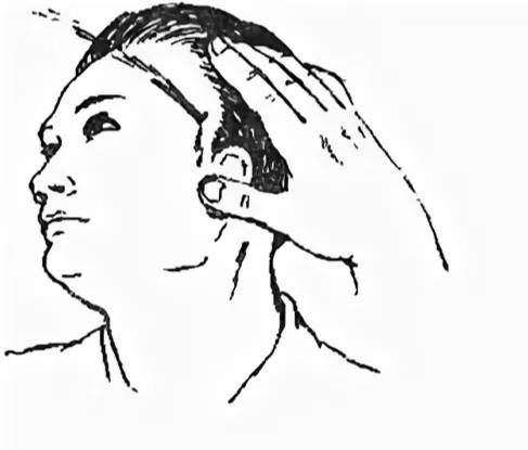   ;
