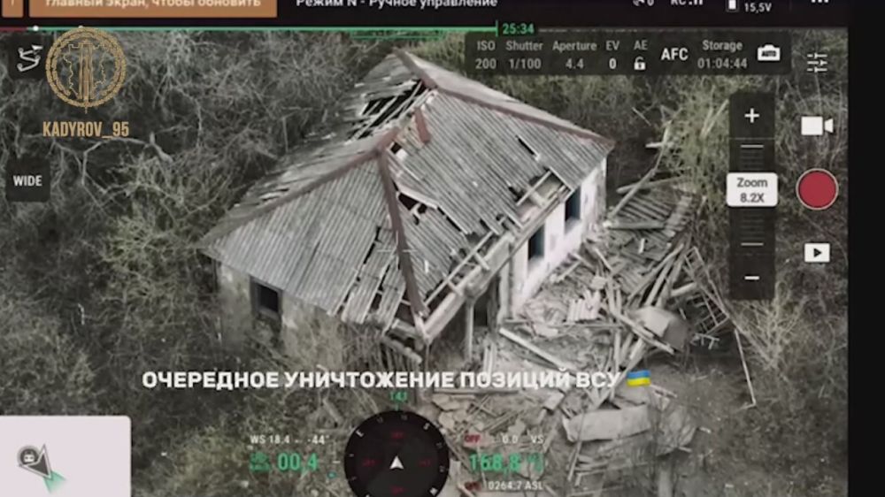  :        ,            