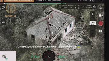  :        ,            