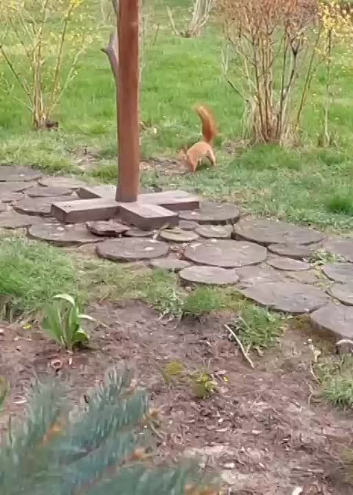     , 
