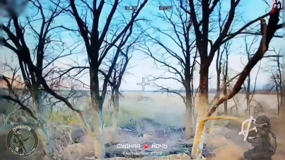 ����������� �����������. �������� ��� 2�1 "��������" � 7 ������������ ������� ���