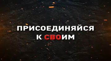  :  41-    44-            