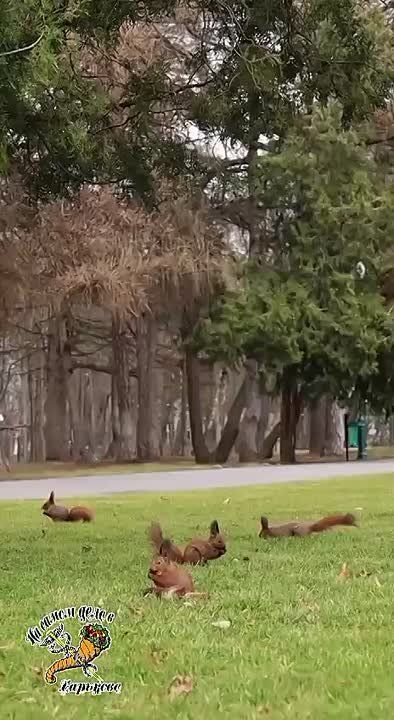 � ����� ��������� ������� � ����� ��������