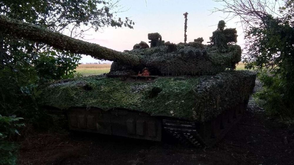 Новости СВО: украинские войска потеряли более 1200 боевиков за сутки