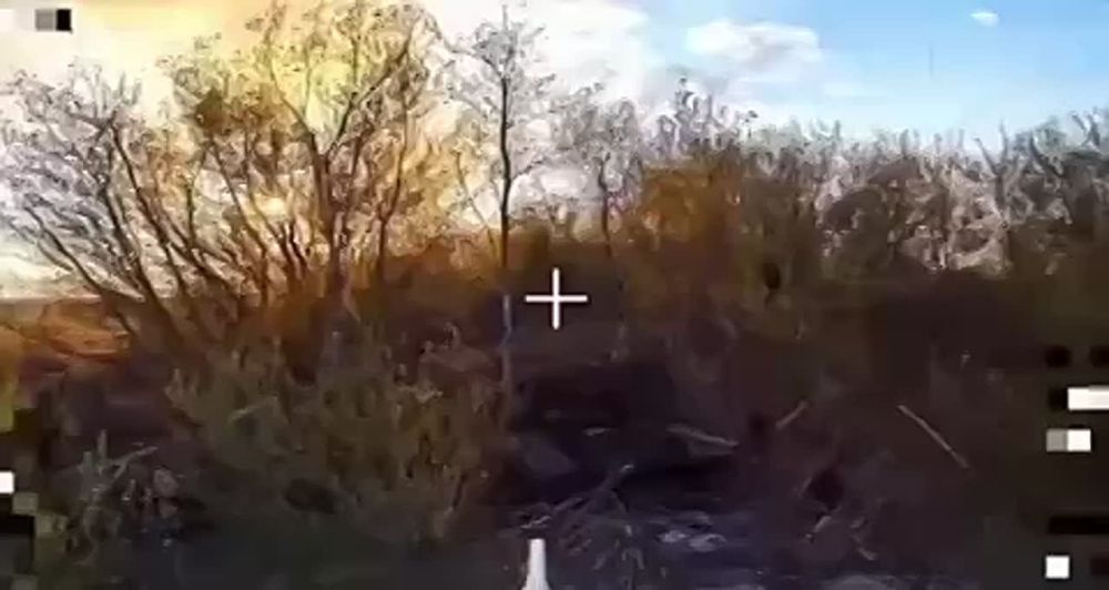     -64   &quot;&quot;