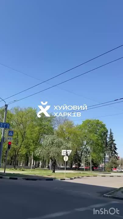 ���� ��������: �������. ����������. ������� ������ ����� ��� 12 ������ �� 40 �����