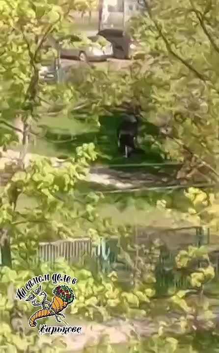 ����������� �� ����� �����