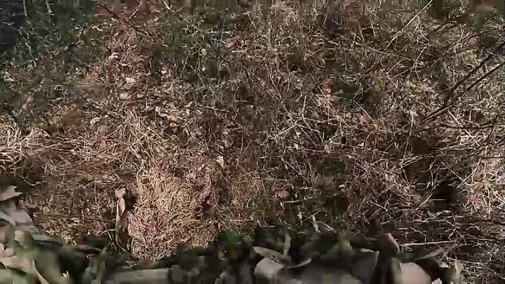 ���������� ����� ������ ������ ������� ���-17 ���������� ������ ������ 128 ����� 44 �� �� ����������� �����������