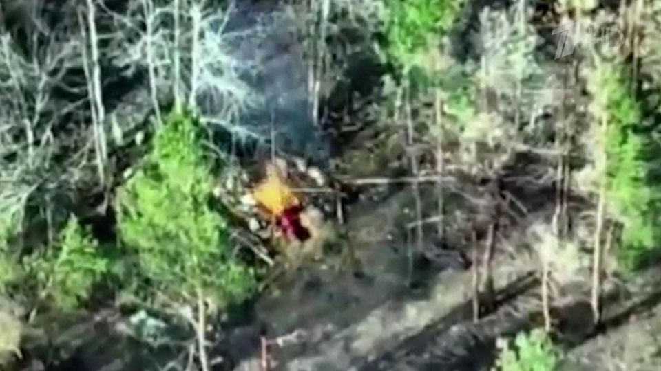 ���������� ������ �������� �� ������������ ���� ���������� � ���