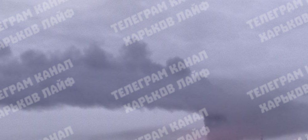 � �������� �� ����� ������ ����������� ���, � ����� ������ ������ � ��������� ����������� �������