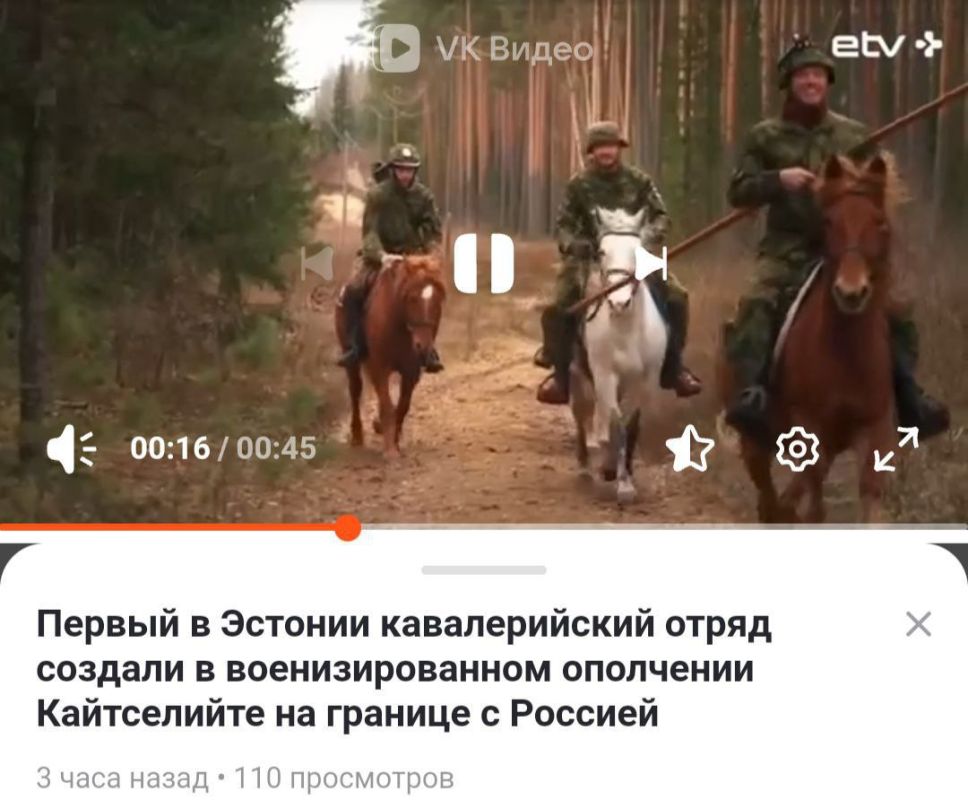 �����, �����!. ��������� ����� �������� ������ �������� � 7 ���