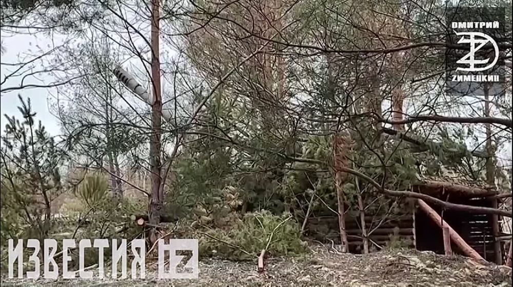  :    