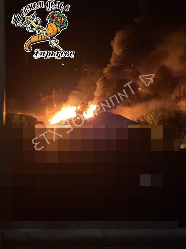 ����� � ������ ���� ��� � ����������� ������� ������� �������� �� ���������� ������� �����