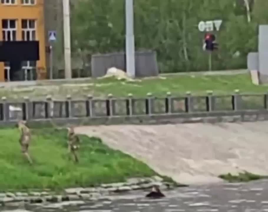 � �������������� �������� �������, �������� �� ��������� �� ���, ������� � ������� ���� ���� ������