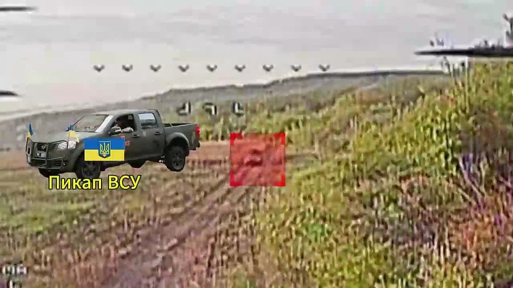 �� ��������� ����������� �������� ����������� ��������� "�������"