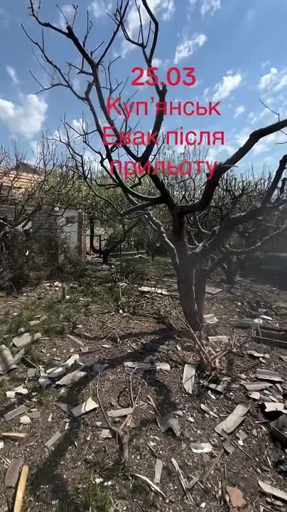 , .    