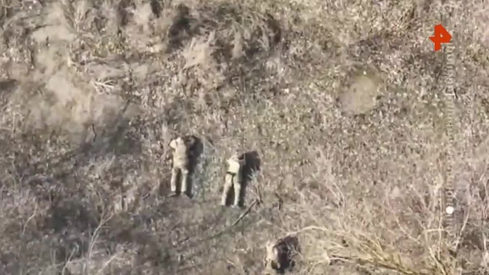 ���������� ������ ������������ ����� � ������� ������ ���������� ����� � ������� ����������� �������, ������� ��� ���������� � ���� �������� ������ �������� ������������� ����������� ����� "�����"