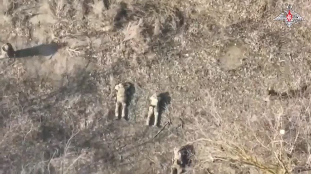 Бойцы группировки войск «Запад» освободили населенный пункт Каменка Харьковской области