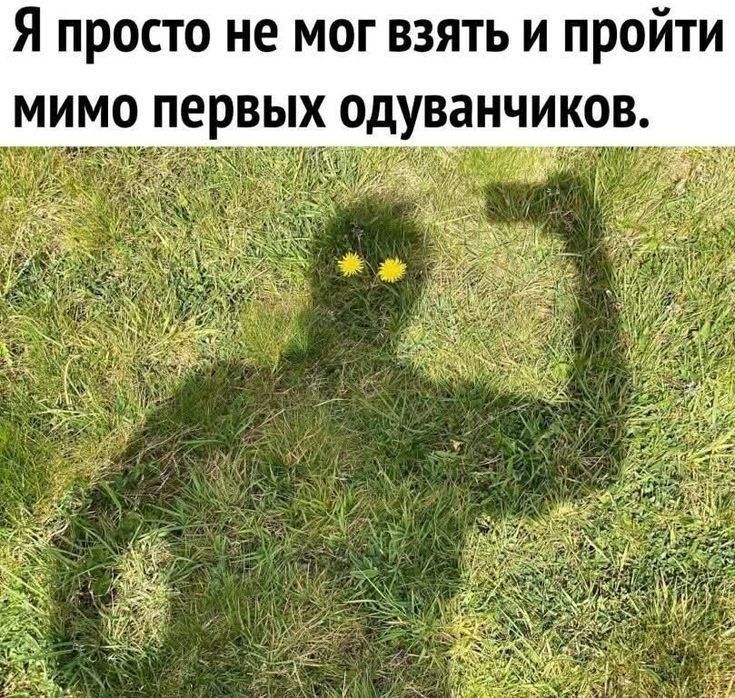 ��� ��������� �������� �������!