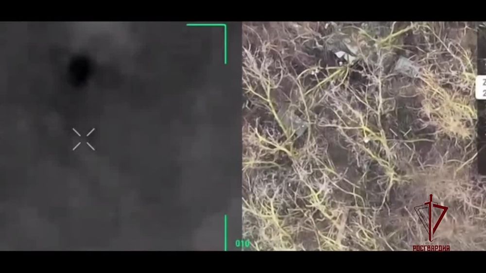 ������������ ���������� ����� ����������� �� ����������� ����������� ���