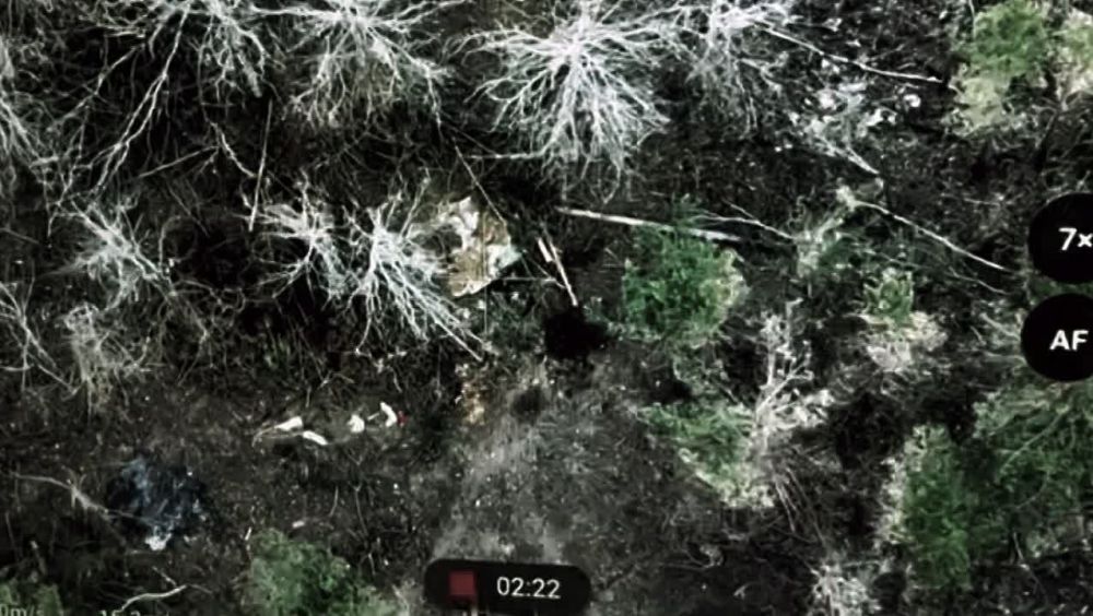 ����������� �������!. ����� ����������� �������� ���� 41 ��� 44 �� ������� ���������� � ����������� �������! ��� ���� �������������� ������� ��� ������ � ���� �����