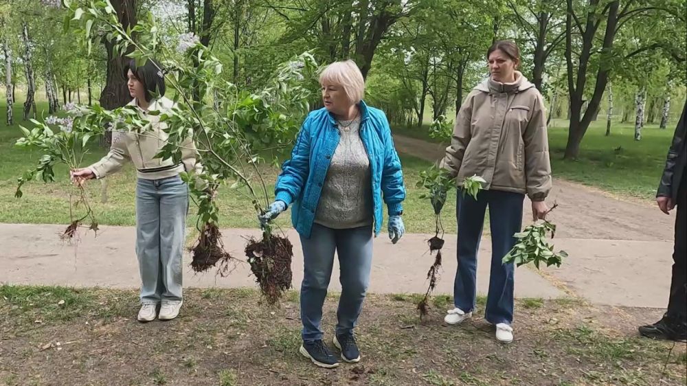 ������ ��� � ������������: ���� ���������