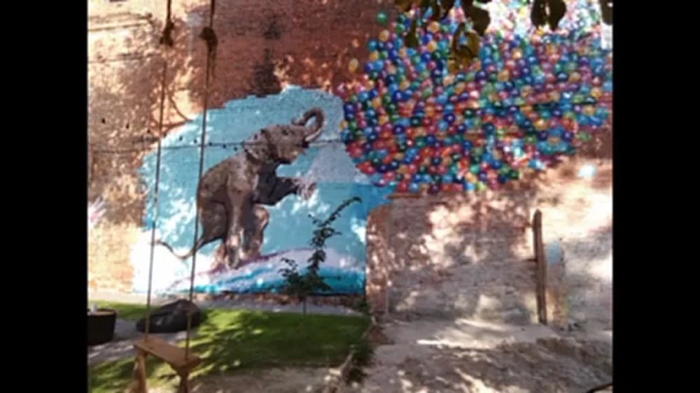 �����-���. ����������� ���������