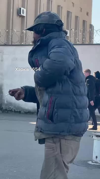 -.  :   ,      ?