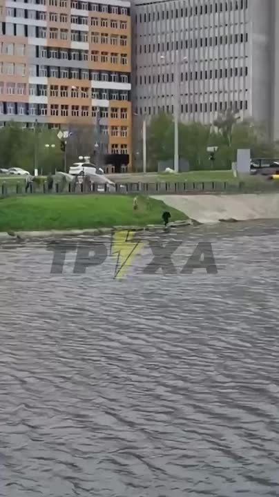     , 