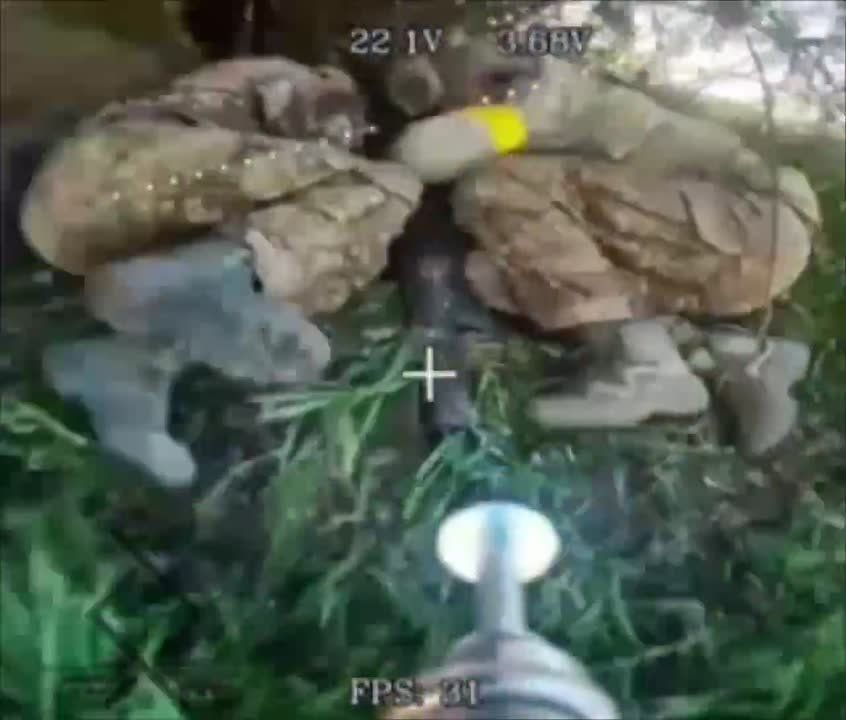 FPV-    3       
