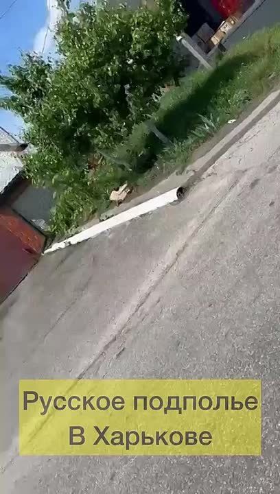  :       ,      