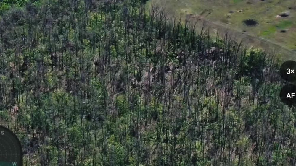 ��������� � ����������. �������� ����� ����������� �������� ���� 41 ��� 44 �� ����������� � ����������� �������