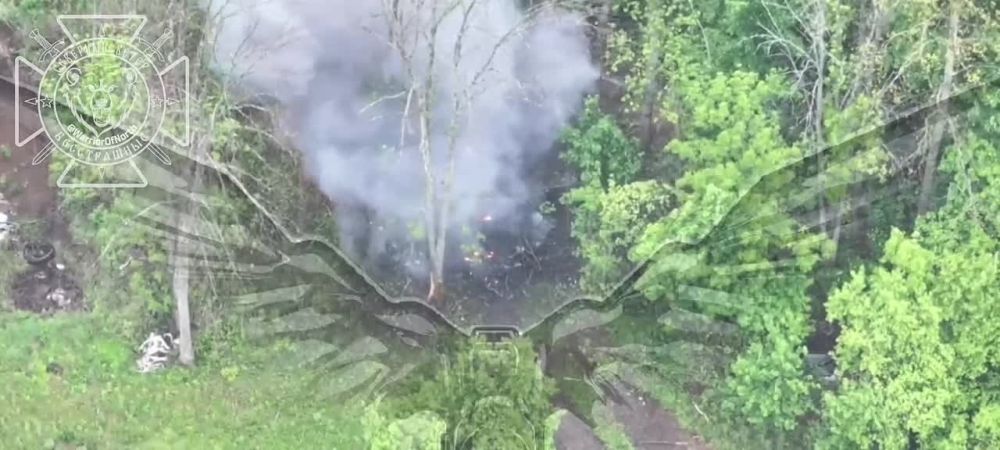 ��� � ����������� �������: ���� ��������� ���� ���������� ��������� ����