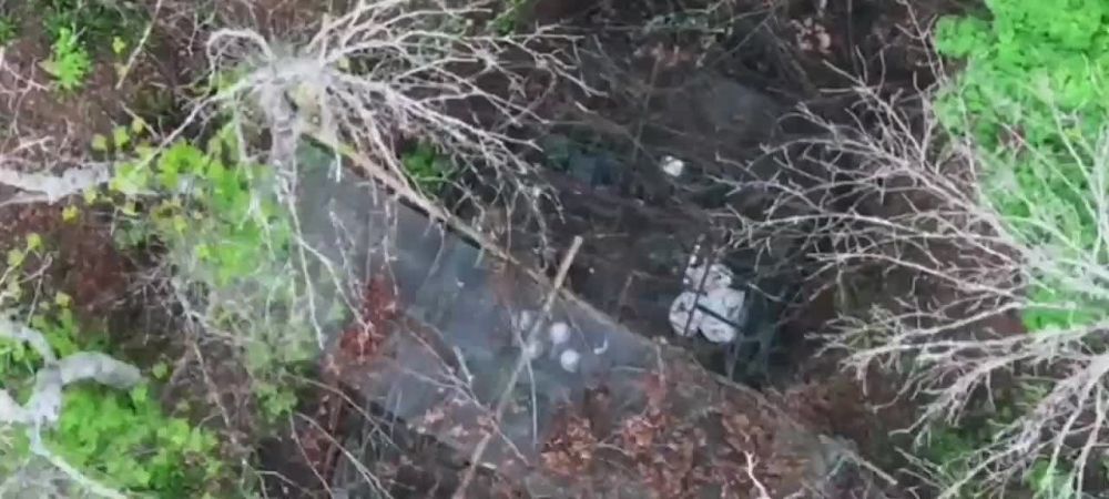 ���������� ������� ������ ���� ��� �� ���������� �����������