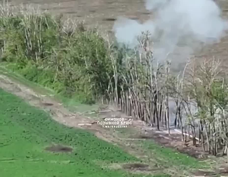 ������ ��������� �� 1-� �������� ����� ������������ ������� ��� �� ��������� ������� ������