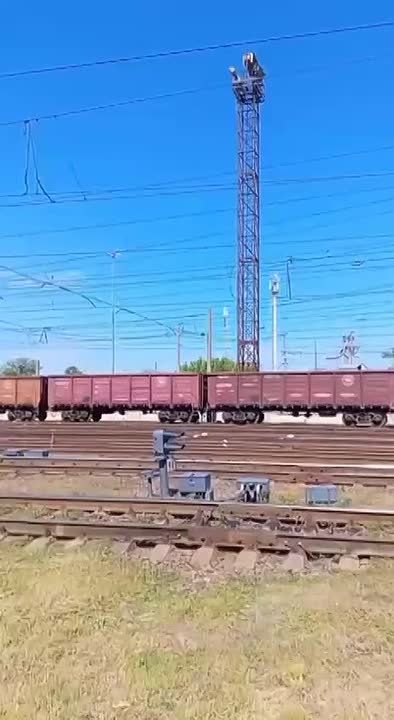 ��� ������� � ������������ ������� - ������ ��������������� ����, 20-25 �� �� ���