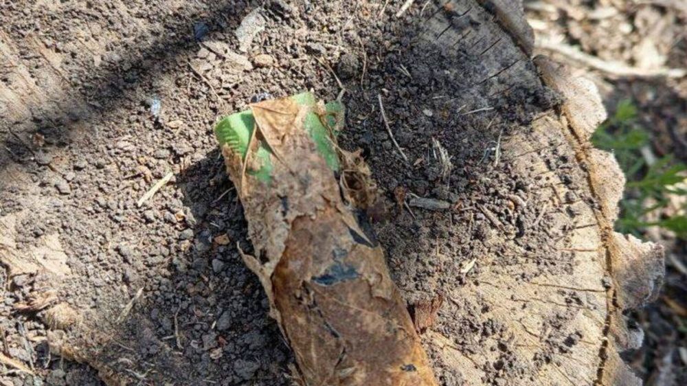 ������ ���������� ���������: ������ ��������� ��� ��������� ����, ������� ������ ����������� ���