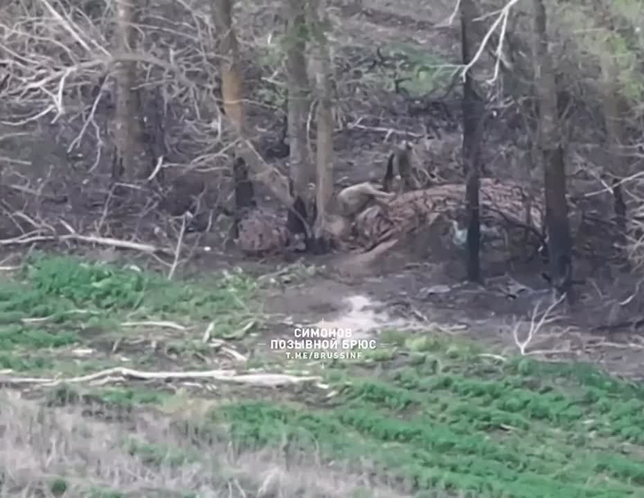 �� �� ���������� ������� ���� ����� �� ���� ������������� ���������� ������