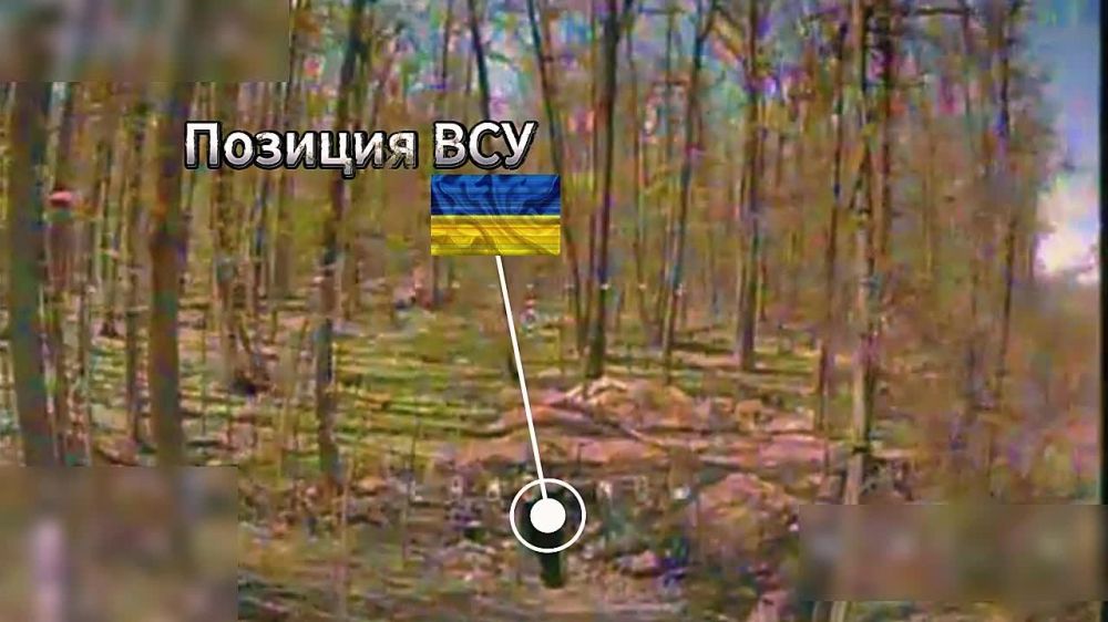 ���������� �� �������. ����������� �������� � ����� ����� ���������� �������� ��� 41 ��� 44 �� � ����������� �������