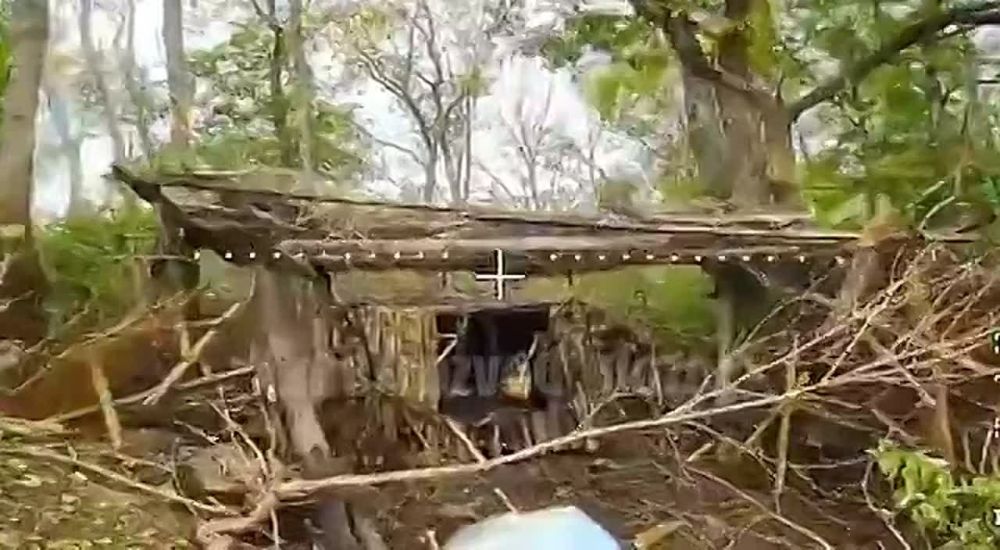 ����������� ������ �� ����������� ���������� ��� 2�1 �� ��������� �����������