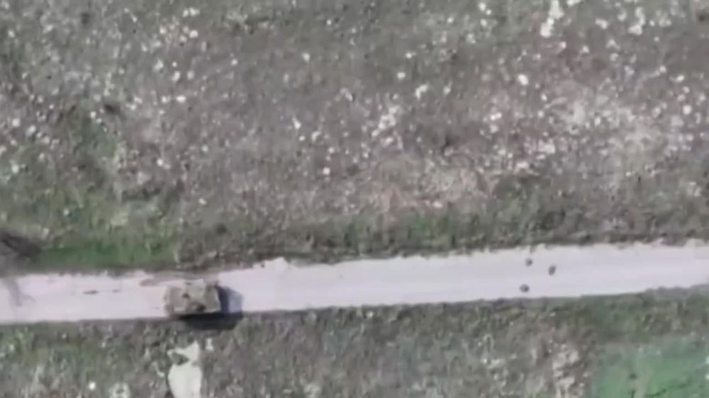 ���������� �113 � ������ ����� ������� � ������ ��������