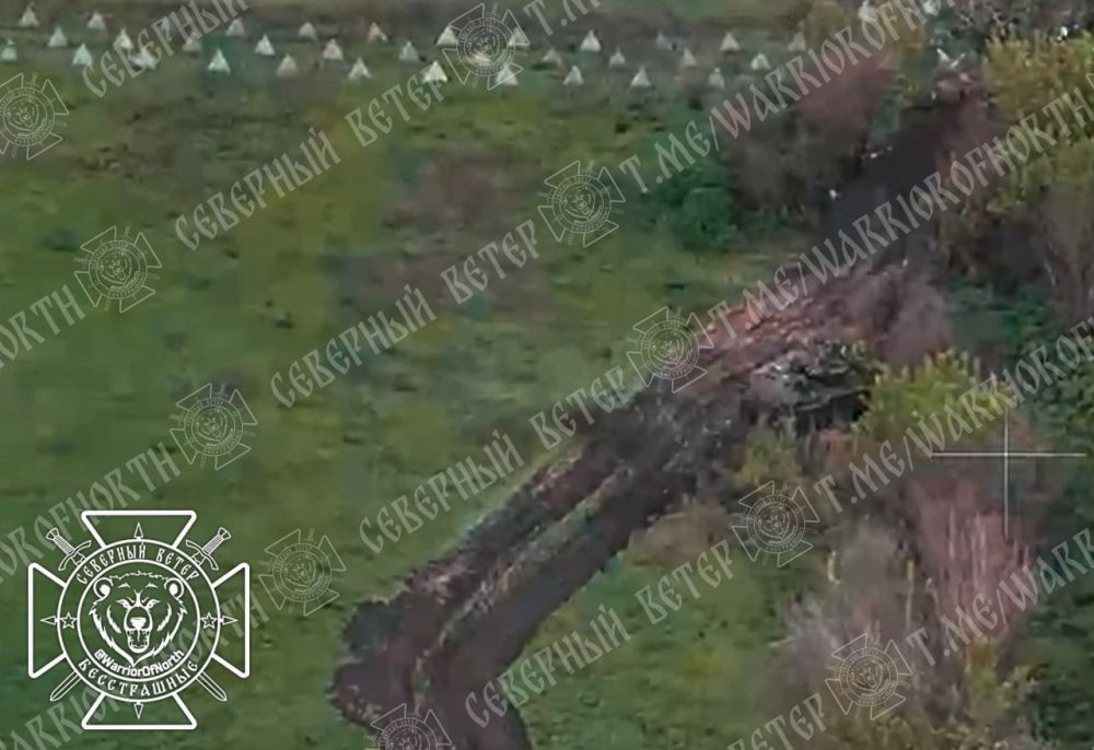 ������ �� �� � �������� ���������� ���� � ������� ������� ����� ���������� ���������� ������������