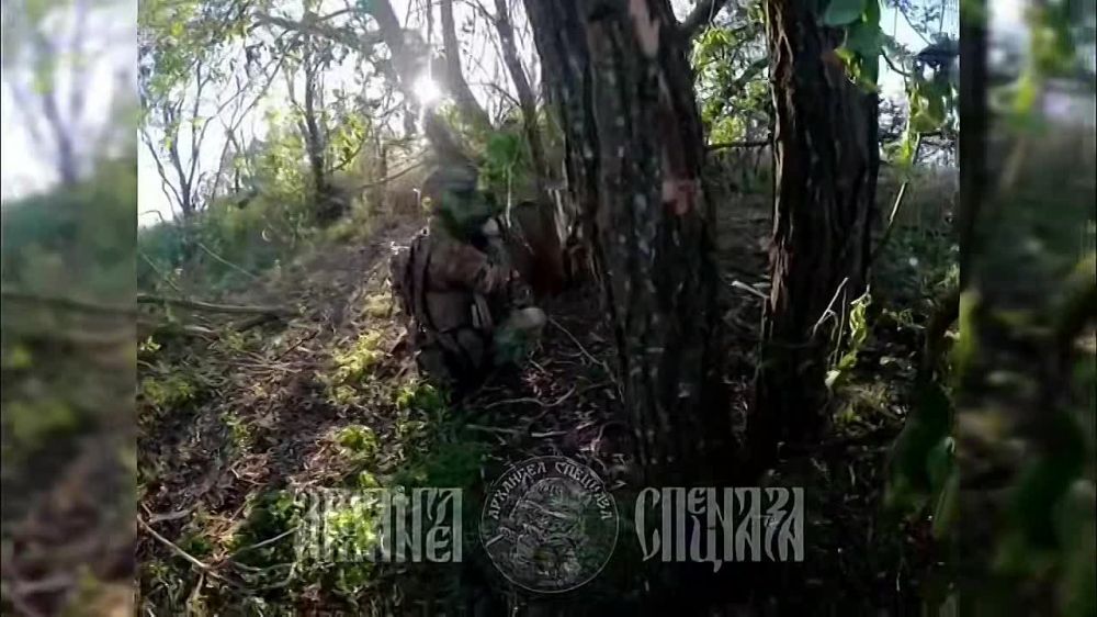 ������������ �����: ��� ��� ��������� ������� ��� � ��� �� ������� ����