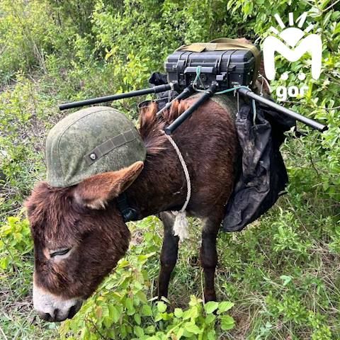 ����! ������� ������� �� �����